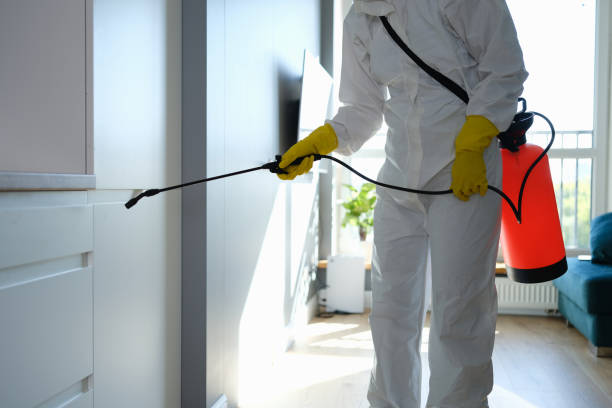 Best Kitchen Mold Remediation in Lithopolis, OH
