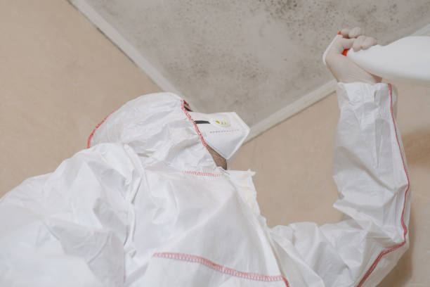 Best Mold Testing and Inspection Services in Lithopolis, OH